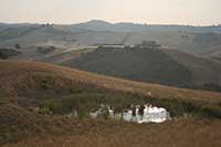 Colline sotto Podere Santa Pia, paesaggio di Giuseppe Ungaretti

