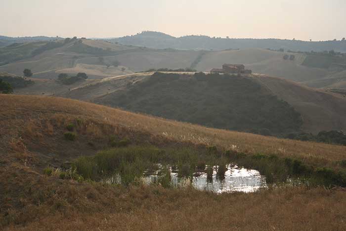 Colline sotto Podere Santa Pia, paesaggio di Ungaretti