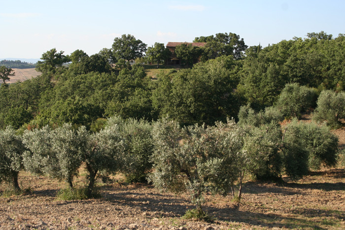 Podere Santa Pia