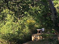 Bee hive in the garden