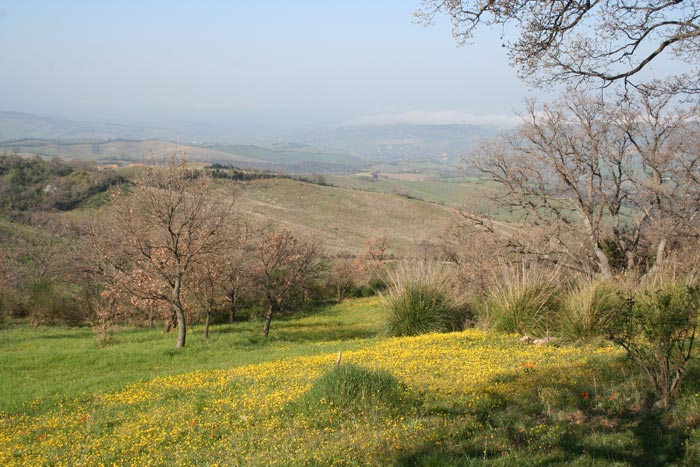 Maremma hills