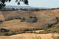 Casacvacanze Maremma Toscana