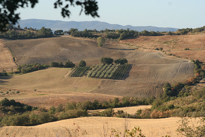 Podere Santa Pia, situated in a particularly scenic valley
