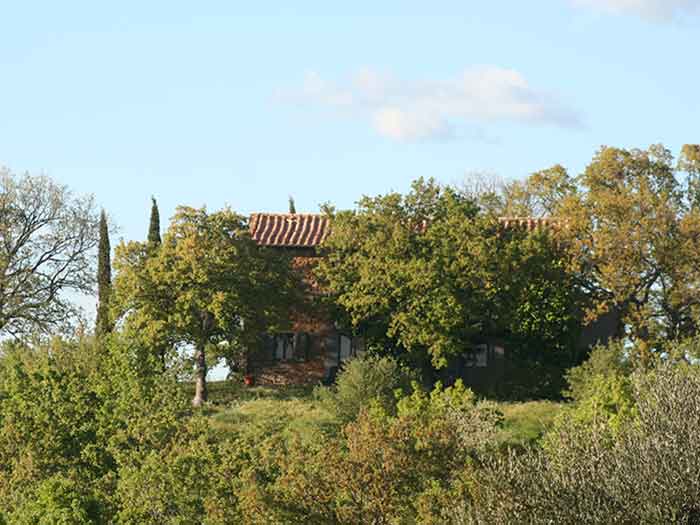 Casa Vacanze Podere Santa Pia, Castiglioncello Bandini, Toscana