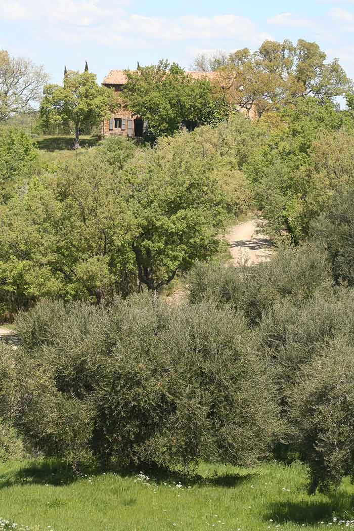 Natuurhuis in het zuiden van Toscane