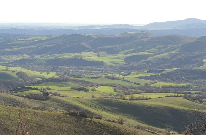 Podere Santa Pia, garden view over the Maremma hills (April) 