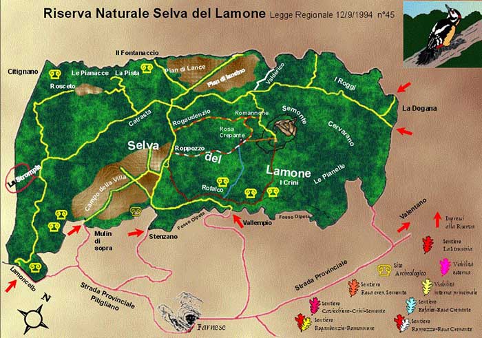 Riserva Naturale Selva del Lamone