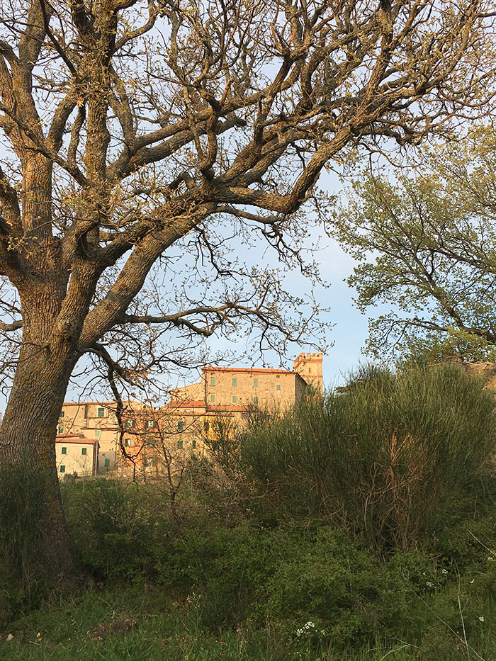 Castiglioncello Bandini, Castiglion del Torto 